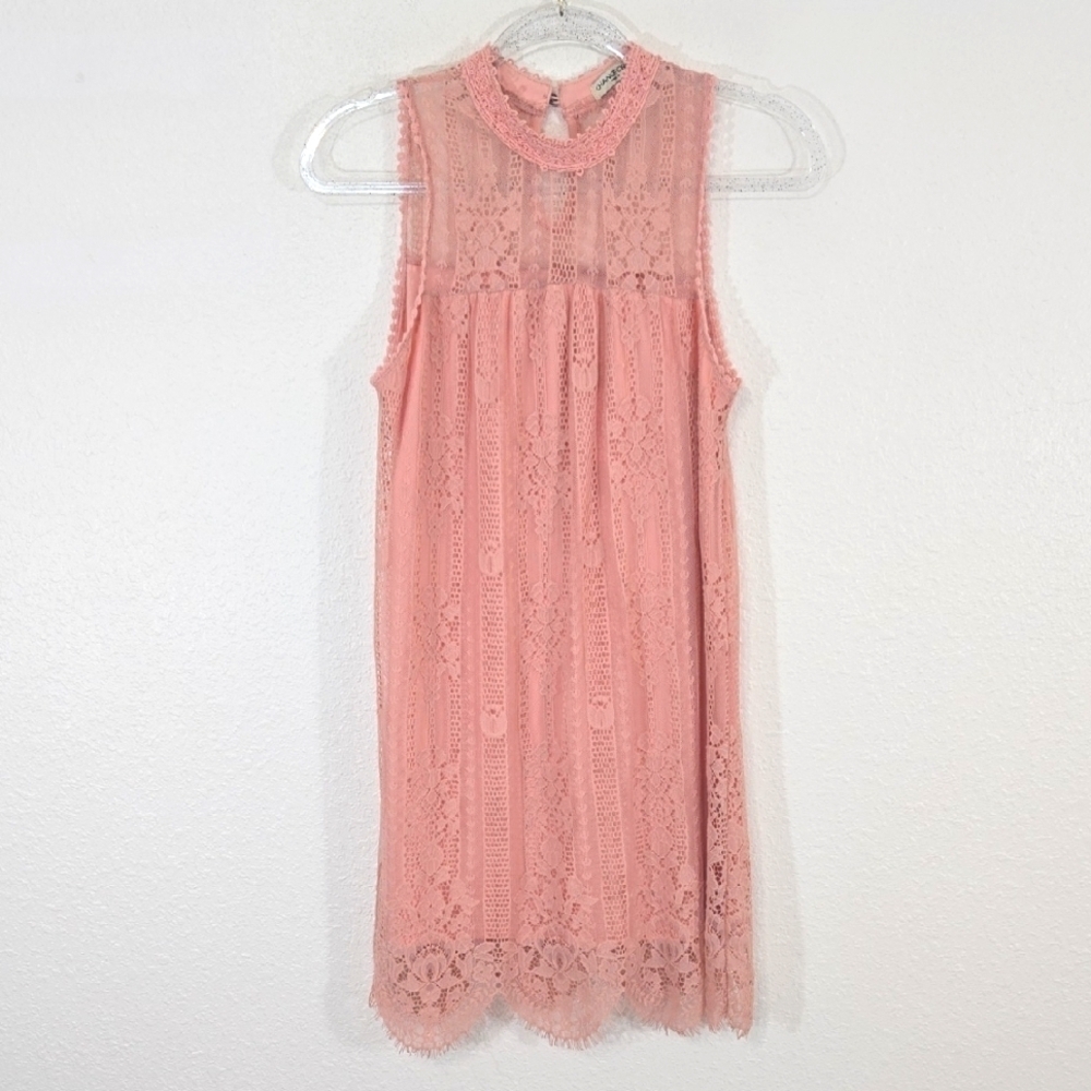Chance or Fate Pink Lined Lace Dress Fairycore Cottagecore Romantic Feminine, S